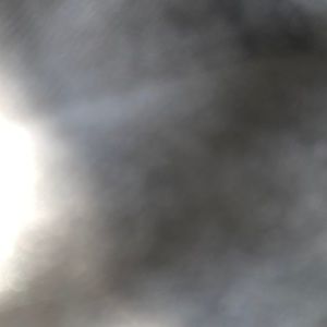 Meet your Posher, Joycelynn